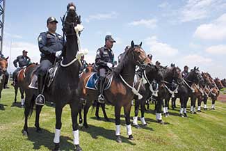 Photo by Ricardo Castelan (cuartoscuro.com)