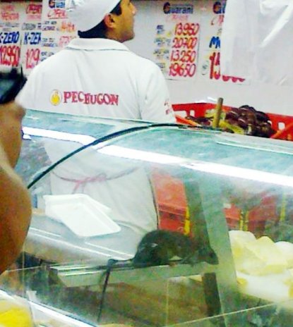 la-expresiva-fotografia-muestra-a-la-rata-en-el-mostrador-con-su-cola-introducida-en-el-pote-de-aceitunas-_415_464_69259