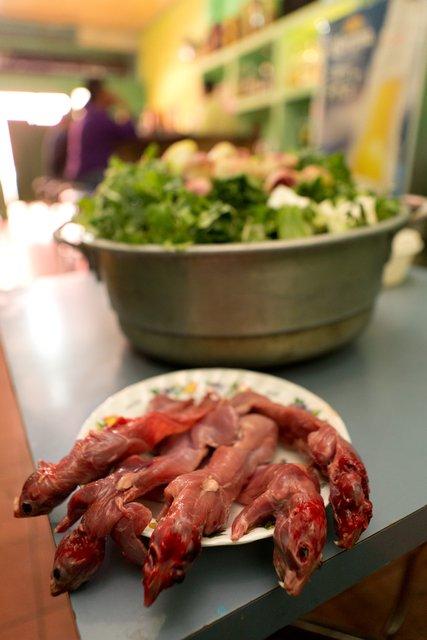 Photo by Pablo Ramos/La Jornada