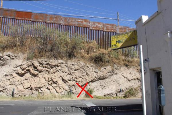 The kid was allegedly in the back about where the "X" is... which makes it impossible for him to have been on the fence, or in any way in U.S: territory.