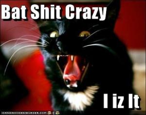 BatShitCrazy128427839146317500