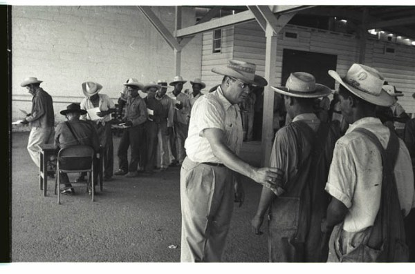 Inspection of Braceros - Braceros being inspected as they enter the United States, 1956