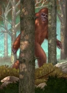 Alexander Douglas Studio