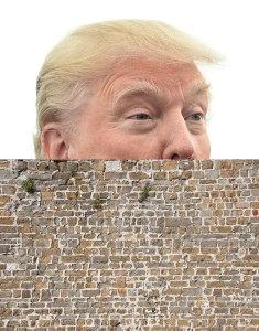 donald-trump-wall